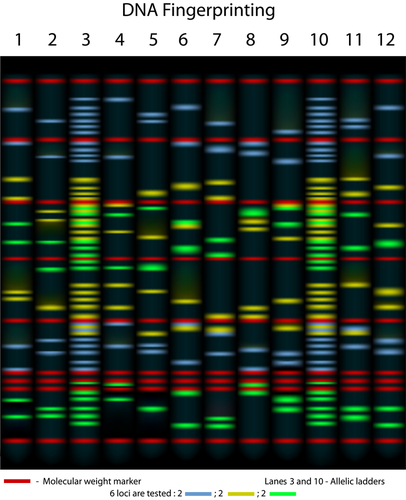 DNA #2.jpg