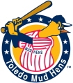 Toledo mud hens.JPG